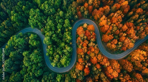 Aerial view of a serpentine road passing through a dense forest.