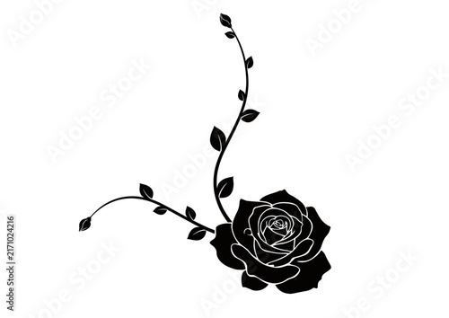Elegant Black Rose Floral Silhouette with Curving Stems and Leaves vector illustration