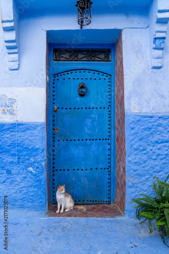 A cat sitting in front of a blue door in Chefchaouen, Morocco, Africa. Chefchaouen is known as the 