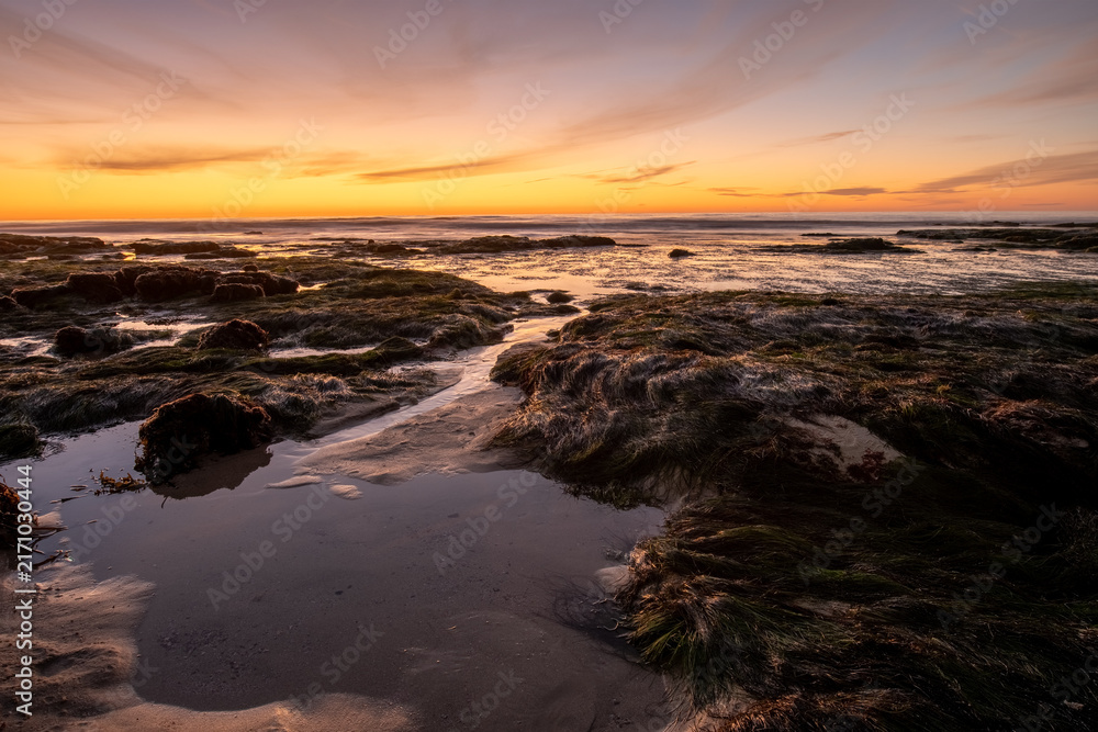 Obraz premium Tide Pool Channel Leading to Ocean at Golden Sunset on Rocky Beach, Coastal Seascape
