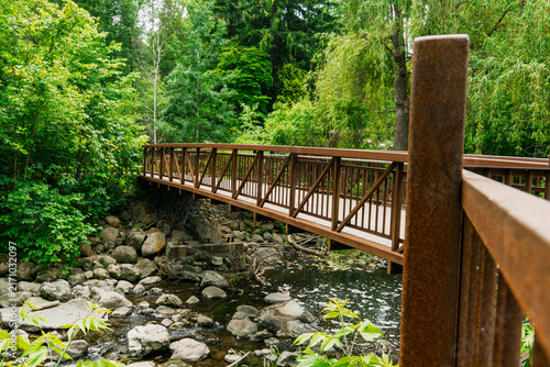 Quadro su tela Edward Gardens, Toronto, Canada - A rustic pedestrian wooden bridge crossing a r