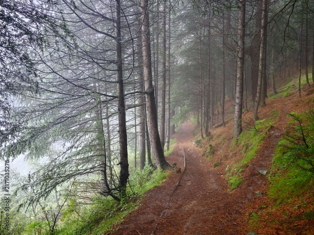 Fototapeta premium Hiking trail near Manali