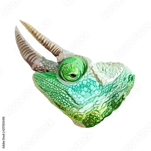 Photography chameleon head portrait illustration