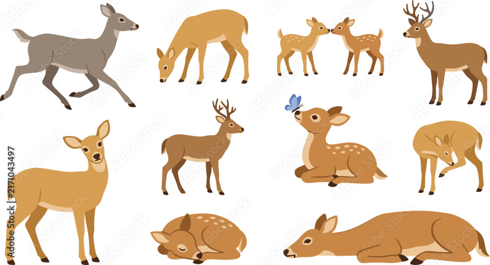 Obraz premium Cute Woodland Deer and Fawn Large Vector Icon Collection Featuring Buck with Antlers, Running, Grazing, Sleeping, and Sitting with Blue Butterfly