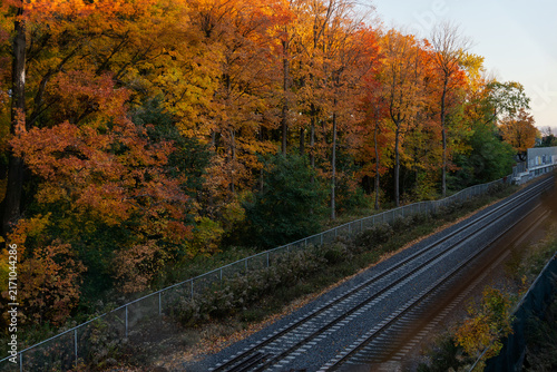Railway tracks winding through a vibrant autumn forest filled with orange, yellow, and red foliage.