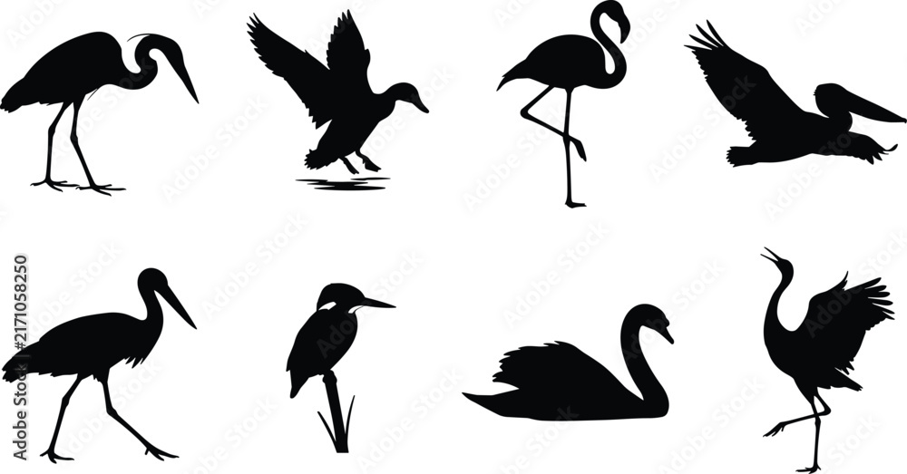 Naklejka premium Black Bird Silhouettes Collection Featuring Heron Flamingo Pelican Swan and Waterfowl in Various Poses