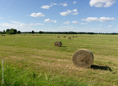 Foto Description:Round hay bales scattered across a green agricultural field under a