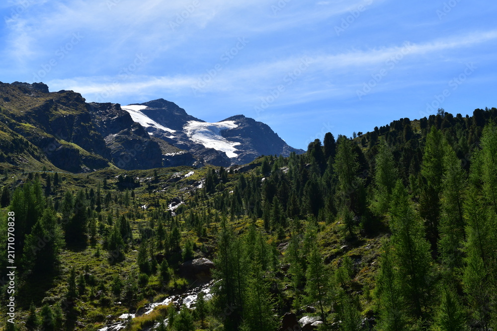 Obraz premium Schöne Landschaft im Langtaufer Tal Südtirol mit Gletscherblick 