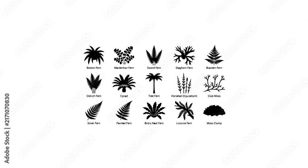 Obraz premium Dinosaur Footprint and Plant Icons, Prehistoric Flora Vector Set, Ancient Botanical Illustrations
