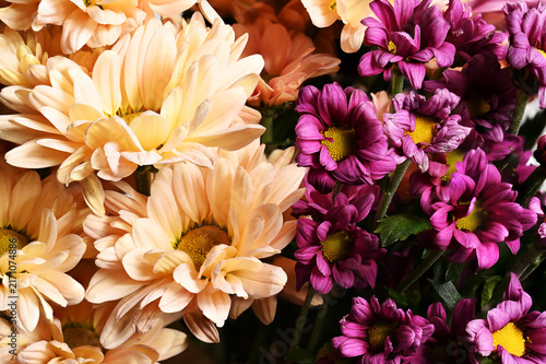 a vibrant floral arrangement featuring peach-colored chrysanthemums and deep purple chrysanthemums with yellow centers