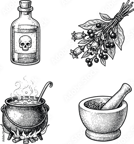 Vintage hand drawn alchemy magical potion bottle and herbs set