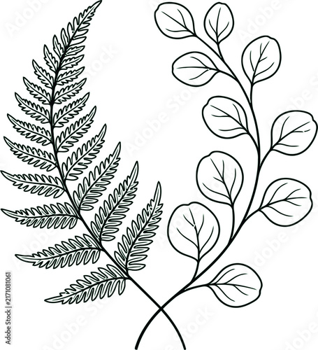 Fern and Eucalyptus Leaf Branch Sketch Line Art Vector