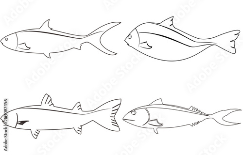 Imaginative line art of a fish shape for fish-drawing education, isolated on a white background, vector.
