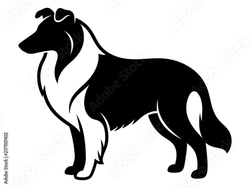 Rough collie standing side profile silhouette