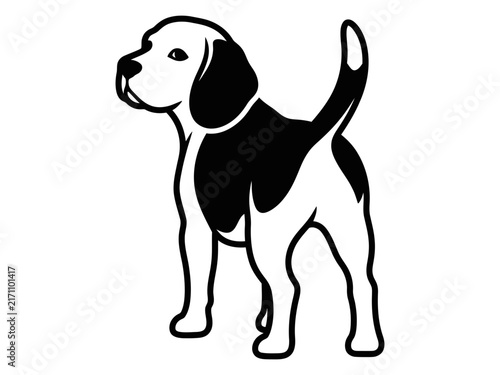 Standing beagle side profile black and white vector