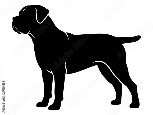 Stocky guard dog standing side silhouette