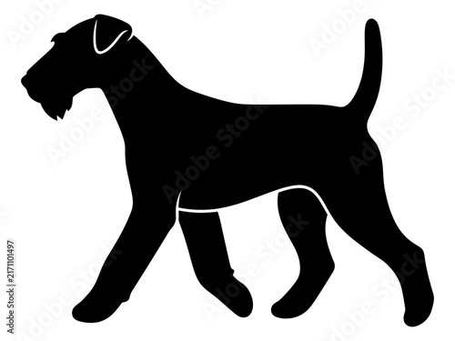 Walking terrier side profile silhouette