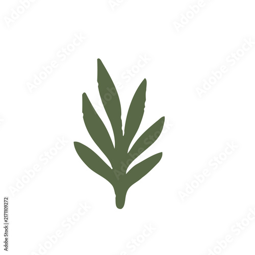 Naive Art Floral Elements Cut-out Style, Boho Abstract Foliage & Branches Vector