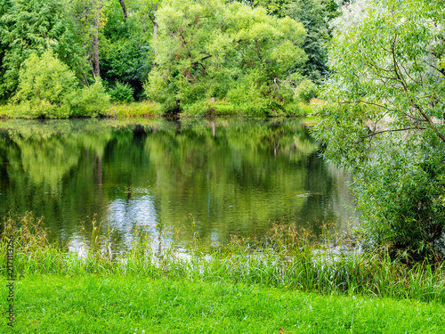 Foto green shore of picturesque pond in park in summer