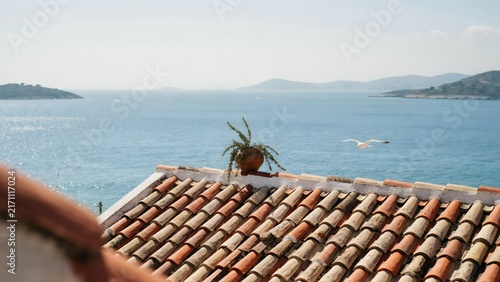 Peaceful coastal scene with terracotta roof tiles and ocean view featuring a seagull in flight