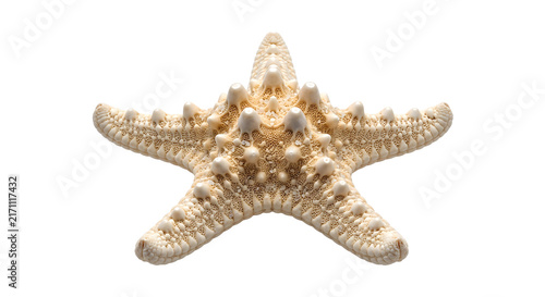 Foto Starfish isolated on transparent background PNG for beach.
