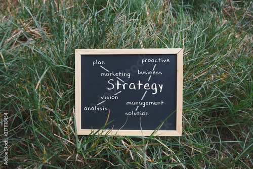 A chalkboard displaying various business strategy concepts such as marketing, management, and analysis, placed on a grassy surface, suggesting strategic planning and growth.
