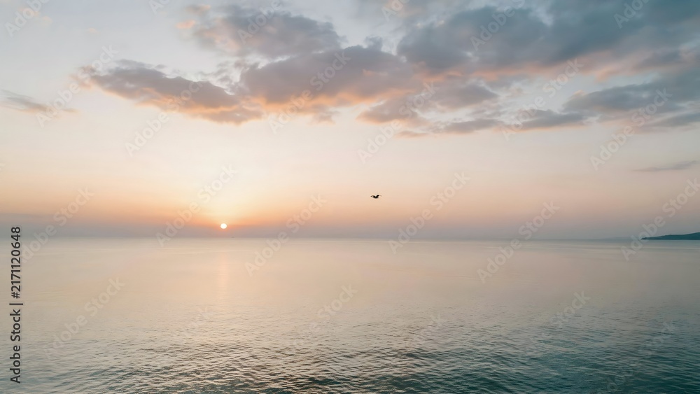 Fototapeta premium Serene Sunrise Over Calm Ocean with Cloudy Sky and Single Bird
