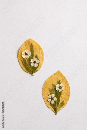 Little white dried flowers on leaves