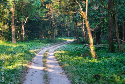 A path inside Gorumara National Park - Dooars in Himalayan foothills , North Bengal of West Bengal , India. Famous for its population of Indian rhinoceros.