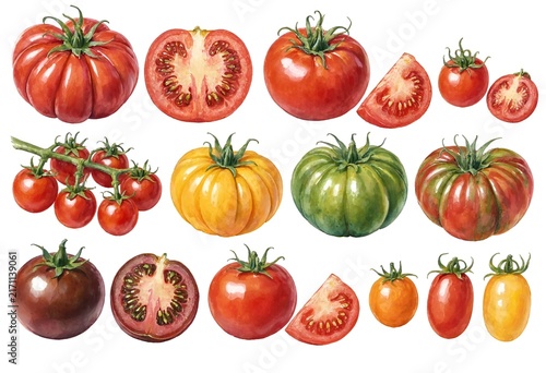 Assortment of ripe and unripe tomatoes in various shapes and colors