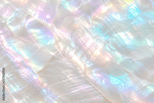 Shimmering nacreous shell surface featuring pastel rainbow pearlescent sheen and organic mother-of-pearl patterns for luxury cosmetic branding