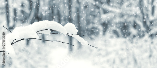 Fotografía Branch covered in thick layer of snow against winter forest background during sn