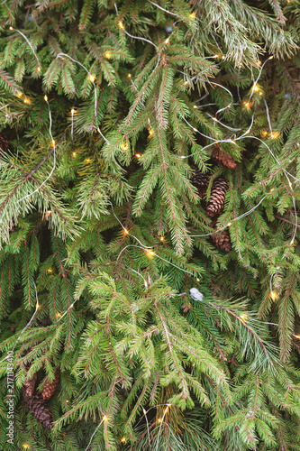 Evergreen spruce decorated with glowing lights