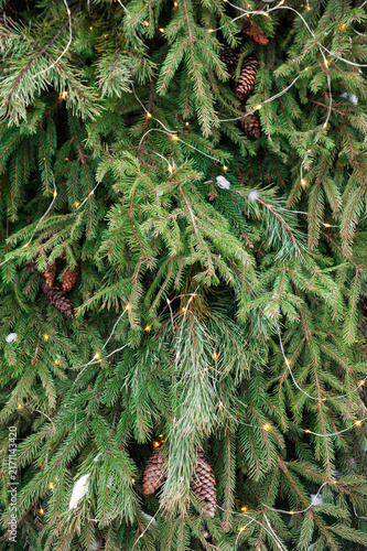 Evergreen spruce decorated with glowing lights