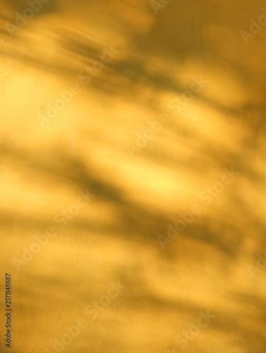 Vertical warm golden hour sunlight tree shadow abstract background on textured wall copy space