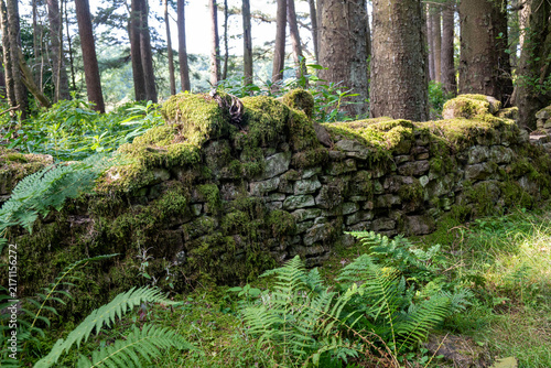 old dry stone wall