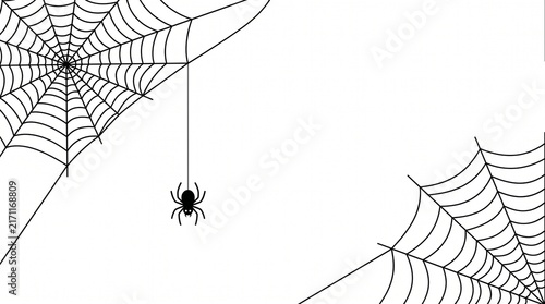 Spider web black with transparent background