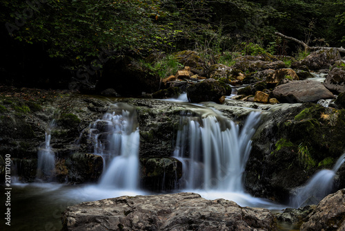 small waterfall in the forest
