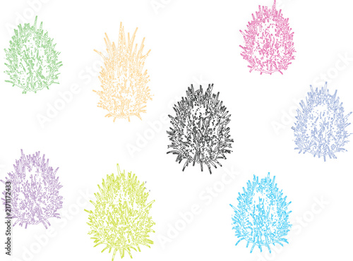 Colorful abstract spiky radial shapes
