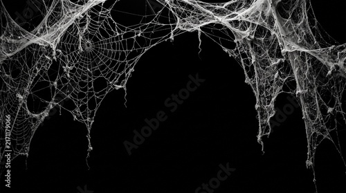 Real creepy spider webs on black banner