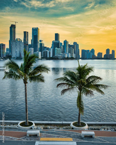 Miami Skyline with Palm Trees and Waterfront at Golden Hour