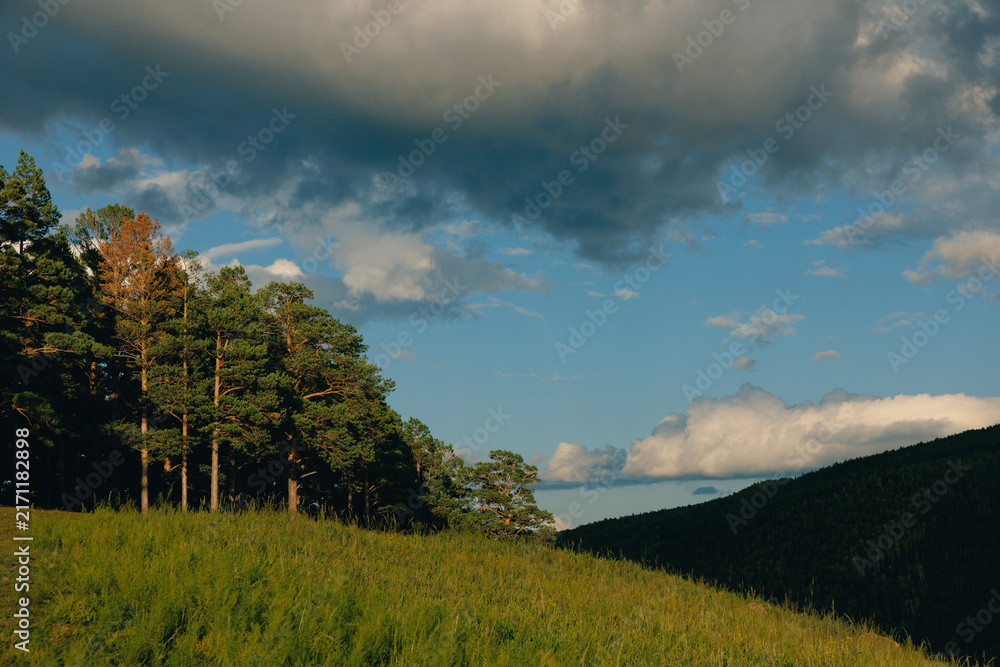 Naklejka premium Hill slope with pine trees under cloudy sky in late afternoon, Chita Transbaikalia nature of Russia