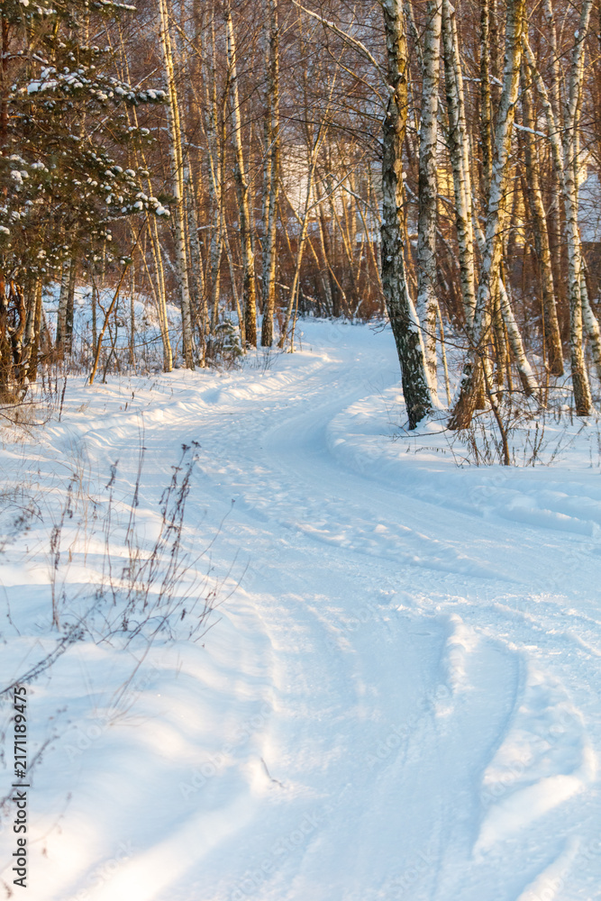 Naklejka premium Snow blankets forest trail winding through bare trees
