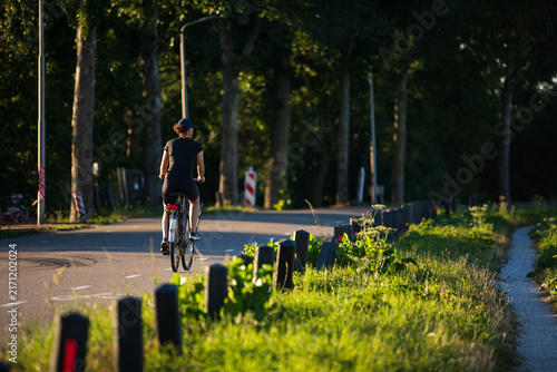 Rear view of a person cycling on a sunlit paved path next to a forest and wooden posts