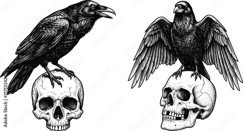Obraz premium Gothic raven perched on human skull vector illustration set featuring realistic hand drawn woodcut engraving style black crows for halloween tattoo designs