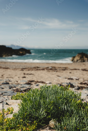 Bild auf Leinwand anglesey lighthouse