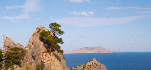 Foto Rocky Crimean coast features large rock with pine tree
