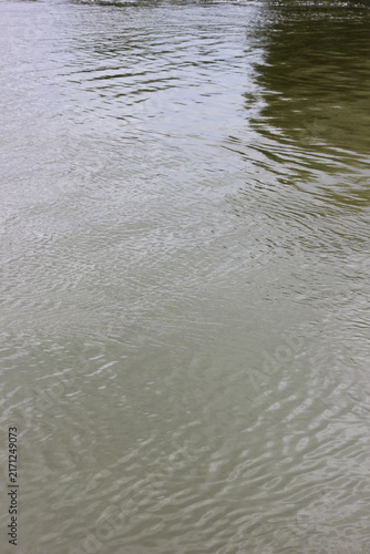 Принти на полотні Rippling water surface in a calm lake, with reflections of trees on the surface