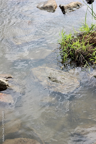 Konstfotografi Clear water flows over rocks in a shallow stream, with green grass growing on th
