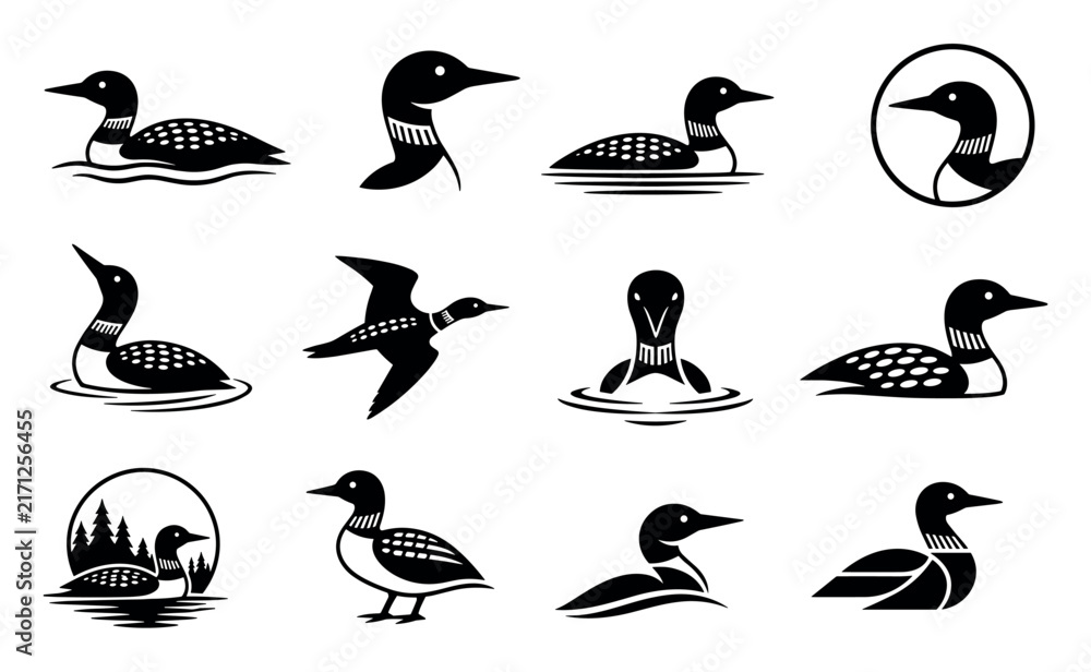 Fototapeta premium Loon bird vector silhouettes and icons set featuring various poses of the common loon swimming and flying for wildlife logo design